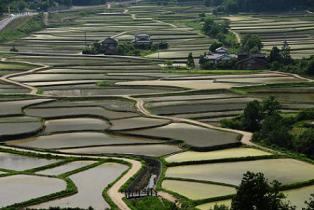 重要文化的景観「田染荘小崎の農村景観」と景観条例・景観計画の画像1