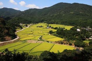 重要文化的景観「田染荘小崎の農村景観」と景観条例・景観計画の画像2