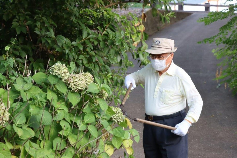 ～あじさいが美しい若宮八幡へ～　豊後高田ロータリークラブ早朝アジサイ剪定活動の画像4