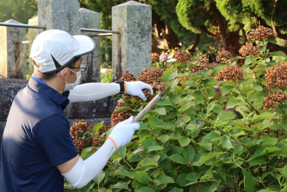 ～あじさいが美しい若宮八幡へ～　豊後高田ロータリークラブ早朝アジサイ剪定活動の画像7