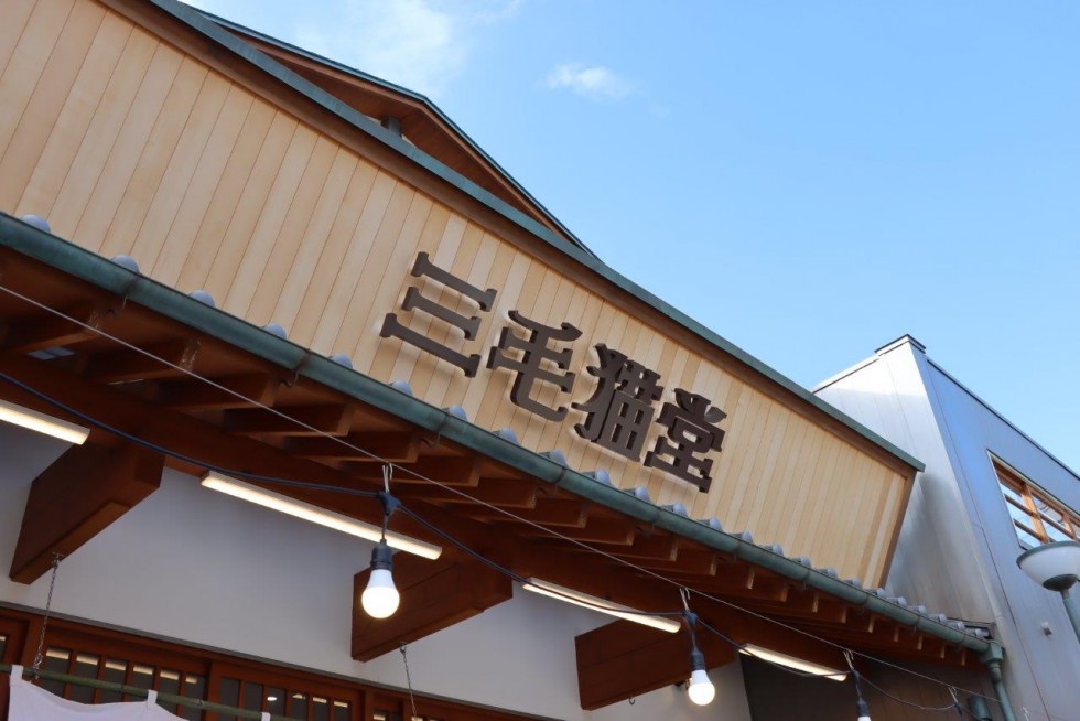 新町創業支援施設に新たな昭和のお店がオープン　～「パステレリア三毛猫堂」お披露目会～の画像2