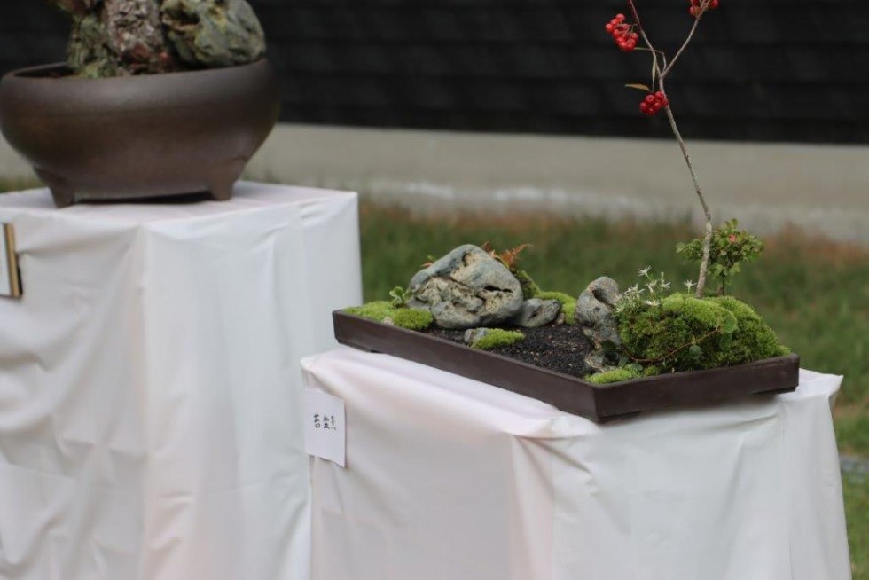 長崎鼻の龍神さまへ祈りの花を捧ぐ　-　「花使いライブ　龍神花祭」第24回大分県民芸術文化祭の画像12