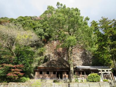 天念寺（てんねんじ）の画像1