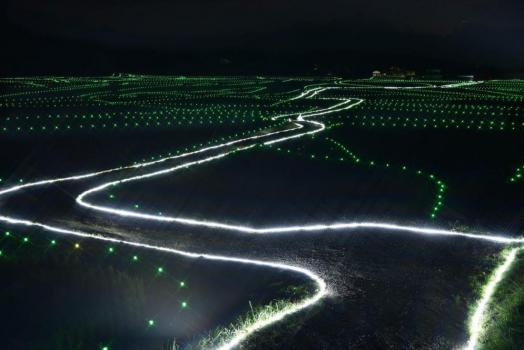 世界農業遺産・田染荘（●▲■全角スペース禁止：スマホで体裁が崩れるため使用しないで下さい●▲■●▲■●▲■●▲■●▲■●▲■●▲■●▲■●▲■●▲■●▲■●▲■●▲■●▲■）千年のきらめきの画像4