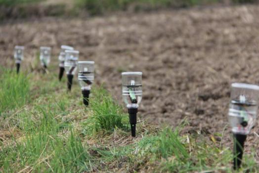 世界農業遺産・田染荘（●▲■全角スペース禁止：スマホで体裁が崩れるため使用しないで下さい●▲■●▲■●▲■●▲■●▲■●▲■●▲■●▲■●▲■●▲■●▲■●▲■●▲■●▲■）千年のきらめきの画像5