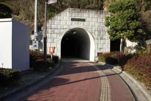 恋叶トンネル（真玉人道トンネル）の画像16