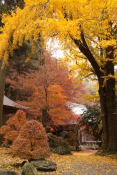 長安寺の画像2