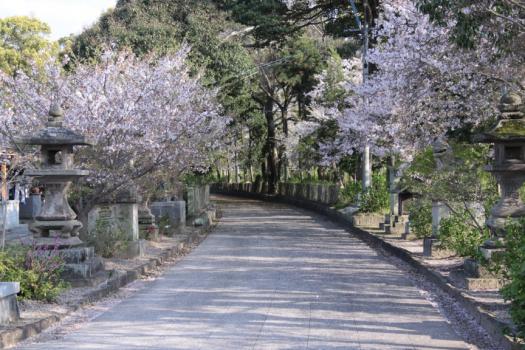 若宮八幡神社の画像5