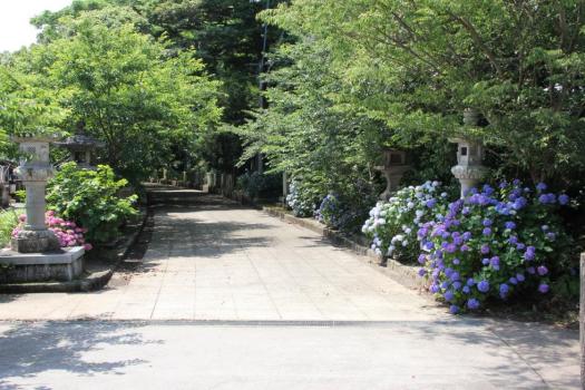 若宮八幡神社の画像6