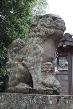 春日神社の画像7