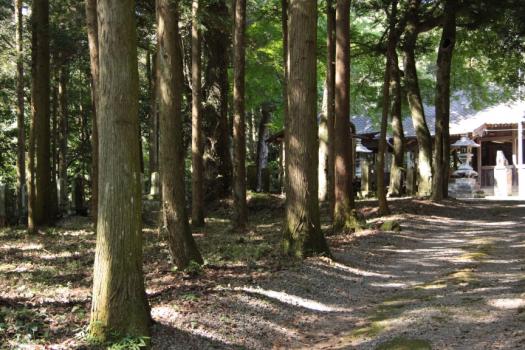 二宮八幡社の画像7