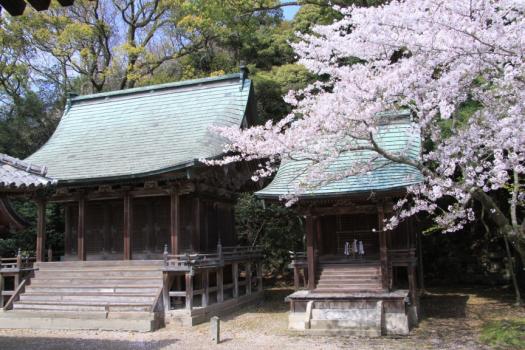 別宮八幡社の画像7