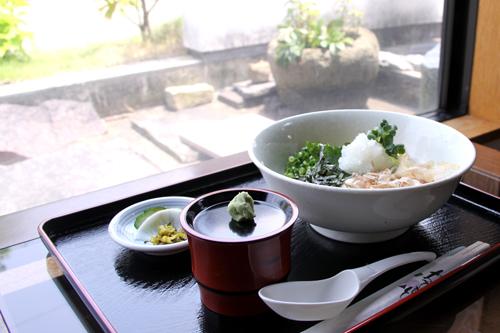  夏場はやはり「おろし蕎麦」にかぎりますね♪ お蕎麦はコシがあり、おろしや大葉がマッチし、さっぱりとして美味しいです。最後にそばつゆも飲みましたが、蕎麦の風味やだしが出ていて美味しくいただきました  ≪メニュー≫ ・もりそば ・えび天ぷらそば（温）・おろしそば・山かけそばの画像