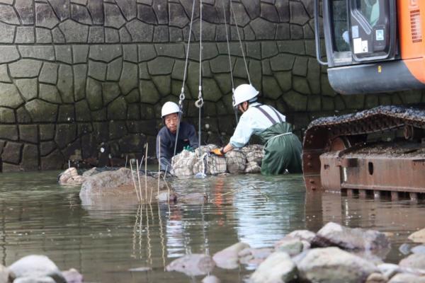 石倉カゴを川に沈める様子1