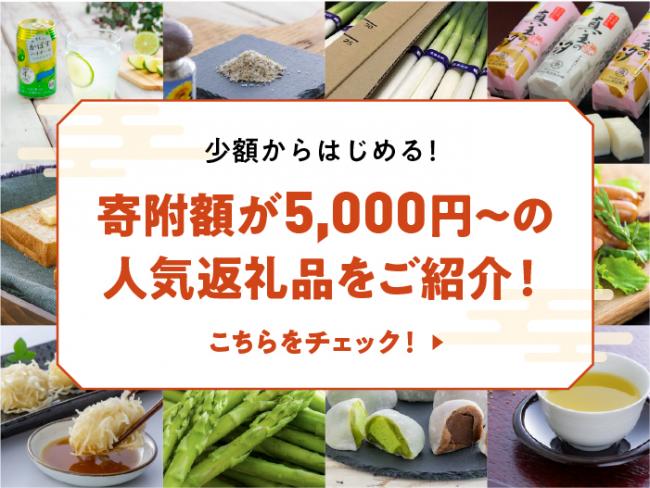 ふるさと納税バナー画像「5,000円の寄付金額から始める返礼品の紹介」