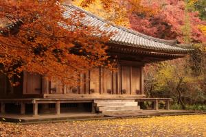 富貴寺　紅葉1