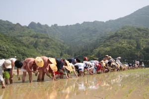 御田植祭