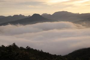 高山寺　雲海