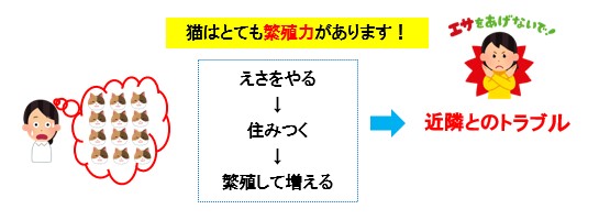 猫の繁殖力についてのイラスト