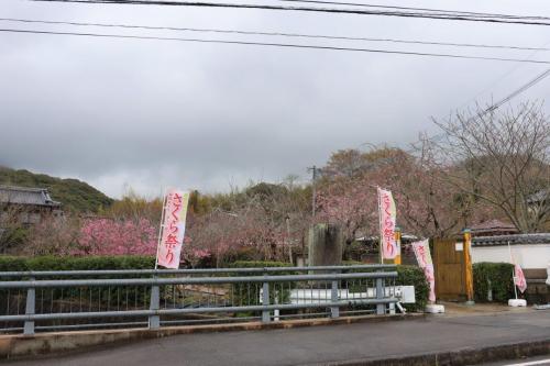 真玉桜園の外観