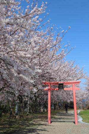 粟嶋公園