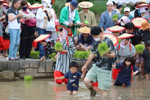 田植え交流会１