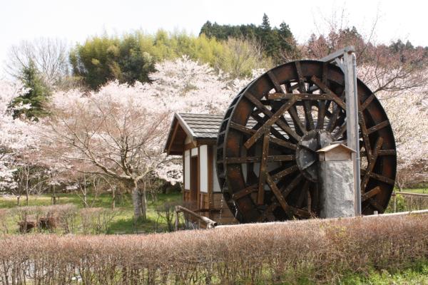 並石ダムグリーンランド（なめしだむぐりーんらんど）の画像2