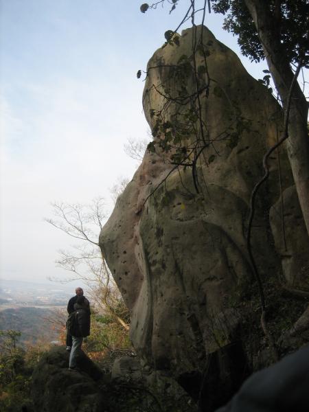 猪群山（いのむれさん）の画像2