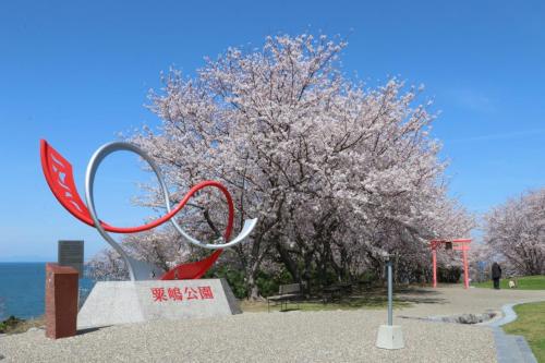 粟嶋公園の写真