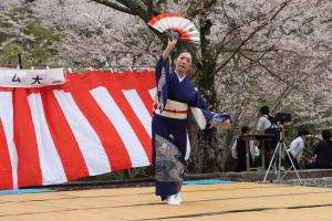 日本舞踊の写真