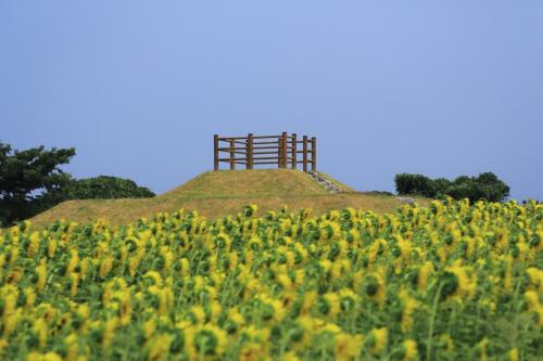 国東半島アートプロジェクトの写真