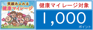 マイレージ1000ポイント画像