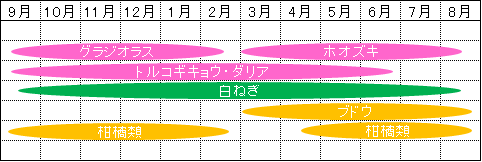 目安表