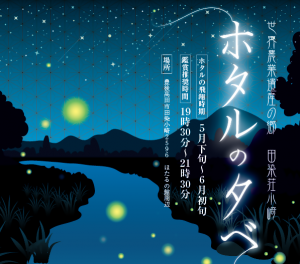チラシ画像
