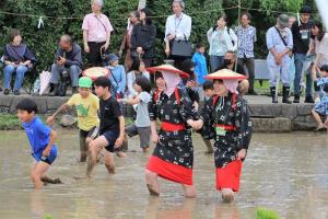 田んぼに入る参加者