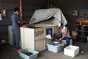 農業作業2