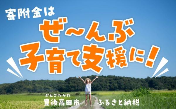 寄附金はぜんぶ子育て支援に