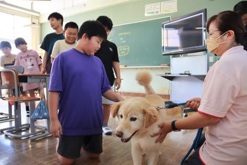 保護犬のダンボと戯れる子供たちの写真