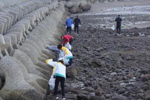 海岸のごみを拾っている参加者たちの写真