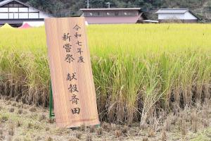 献穀斎田の看板