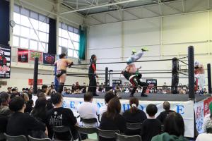 昭和の町プロレスの全体写真