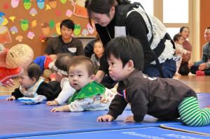 赤ちゃんピック はいはいの様子