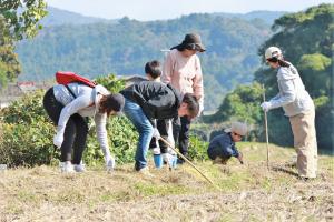 設置作業の様子