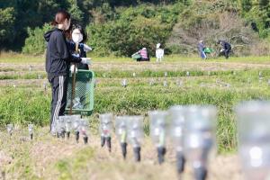 設置されたLEDライト