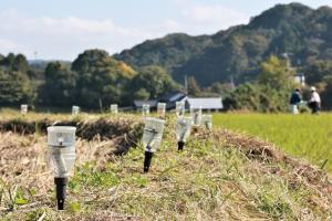 畔に沿って設置されたLEDライト