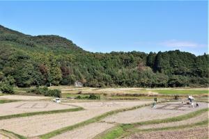 田んぼに字を描く作業の様子