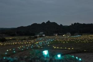 西側から望む千年のきらめき