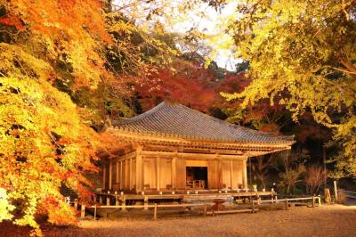 富貴寺ライトアップの画像1枚目