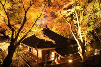 富貴寺ライトアップの画像2枚目