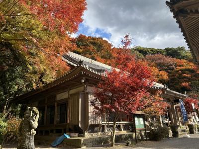 長安寺の紅葉の様子1枚目